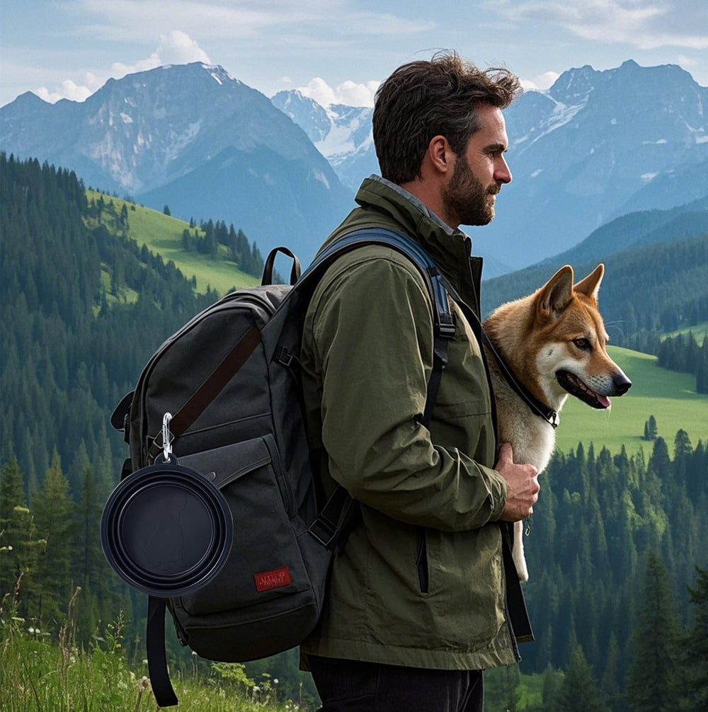 SLSON dog-walking bowl in use for convenient water during outdoor adventures.