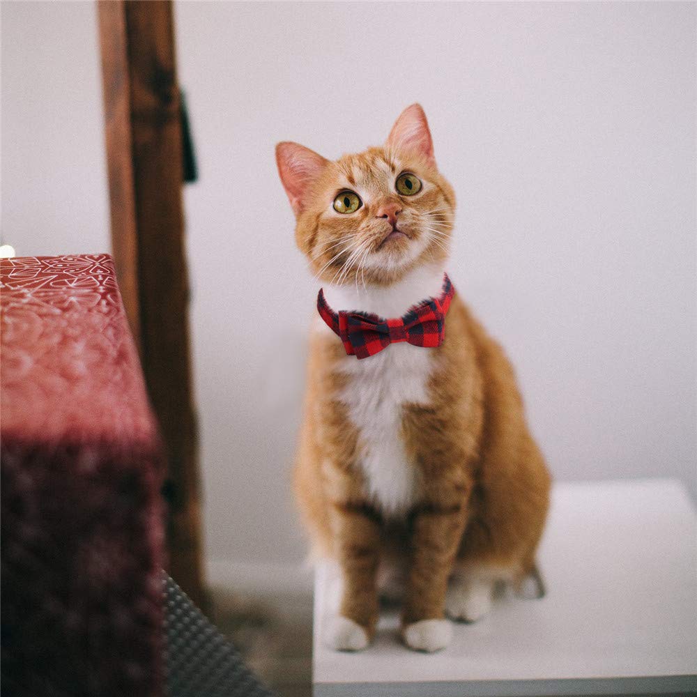 SLSON four-pack display of plaid cat collars for multiple pets