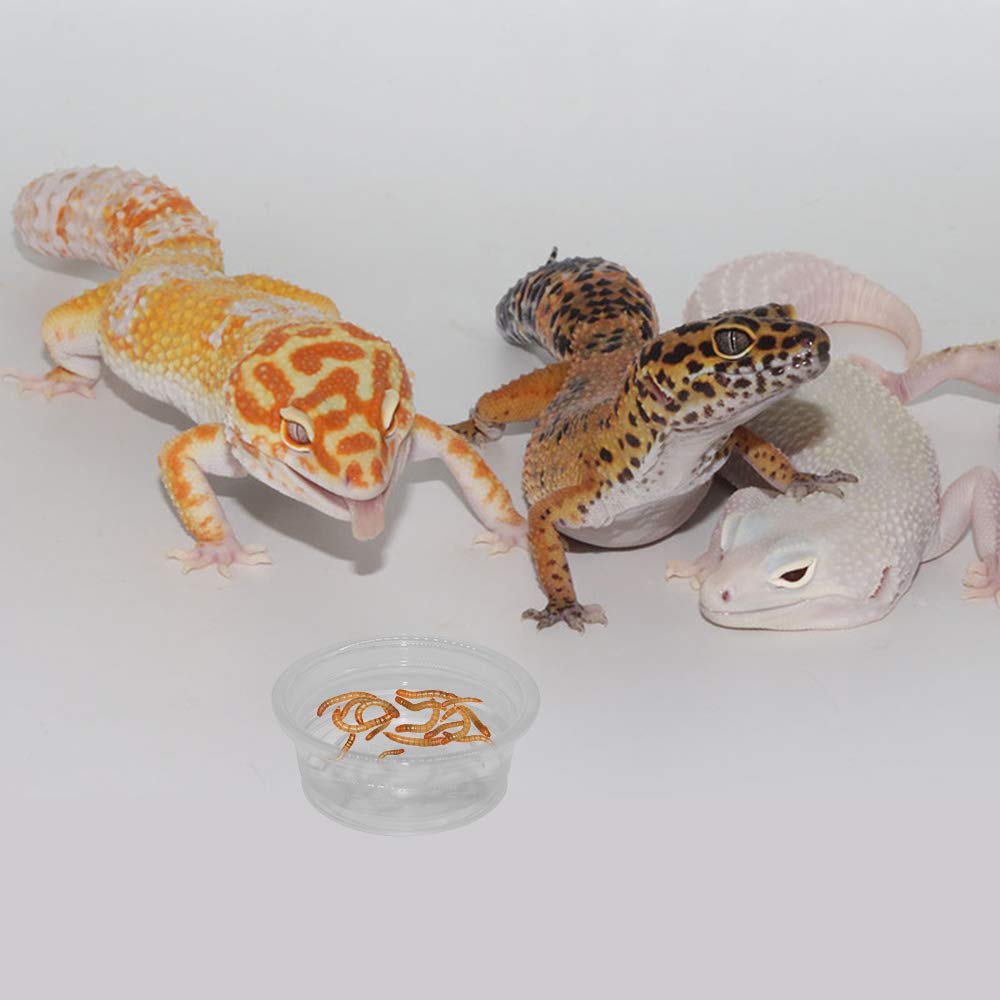 SLSON 0.5 oz cups showing top diameter and height information.