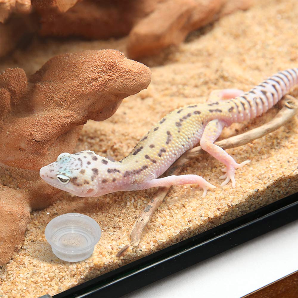 SLSON Gecko Cups stackable clear-plastic design for quick refills.