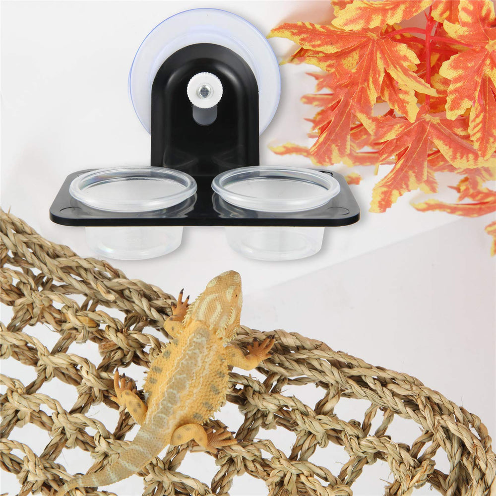 SLSON Gecko Feeder Ledge includes 20 cups for quick feeding.