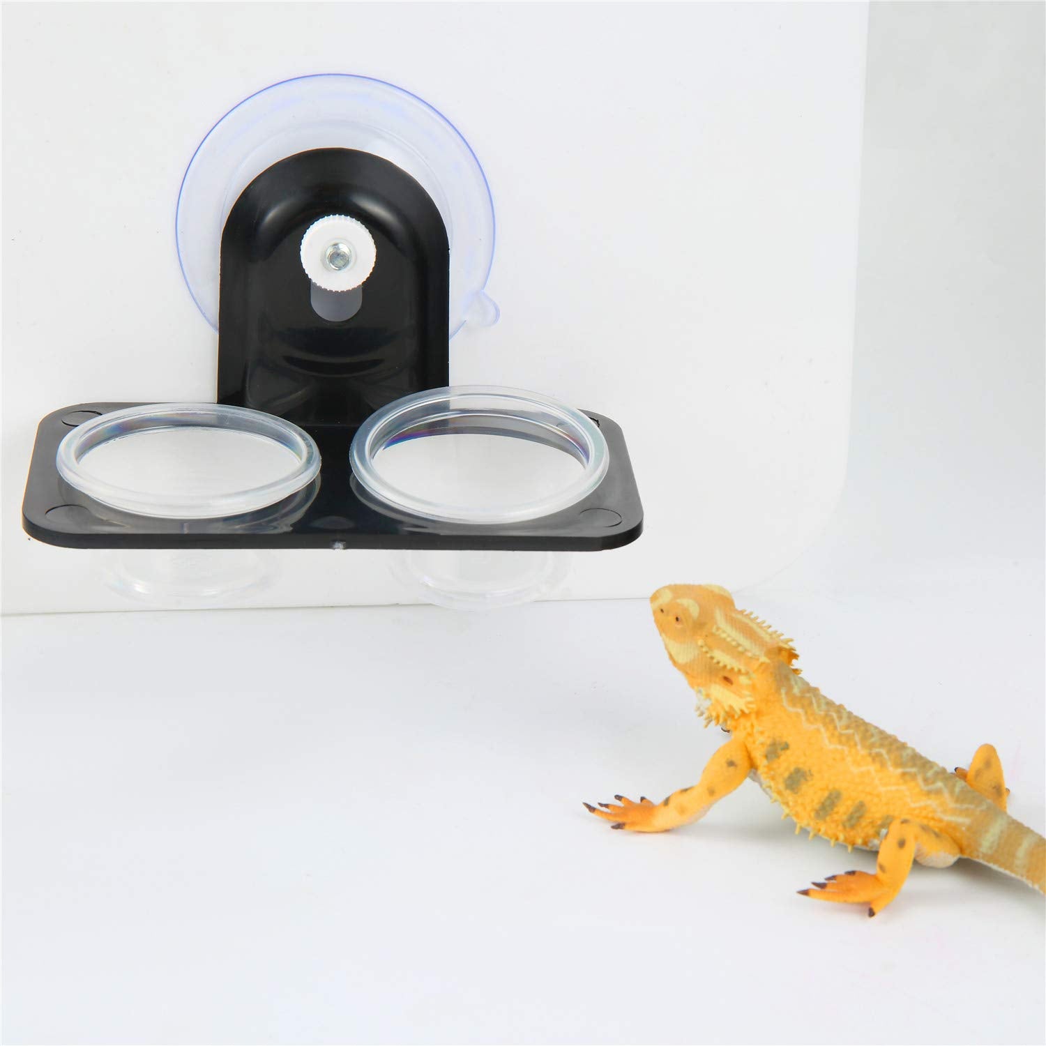 Food-grade plastic construction keeps pets safe during feeding.