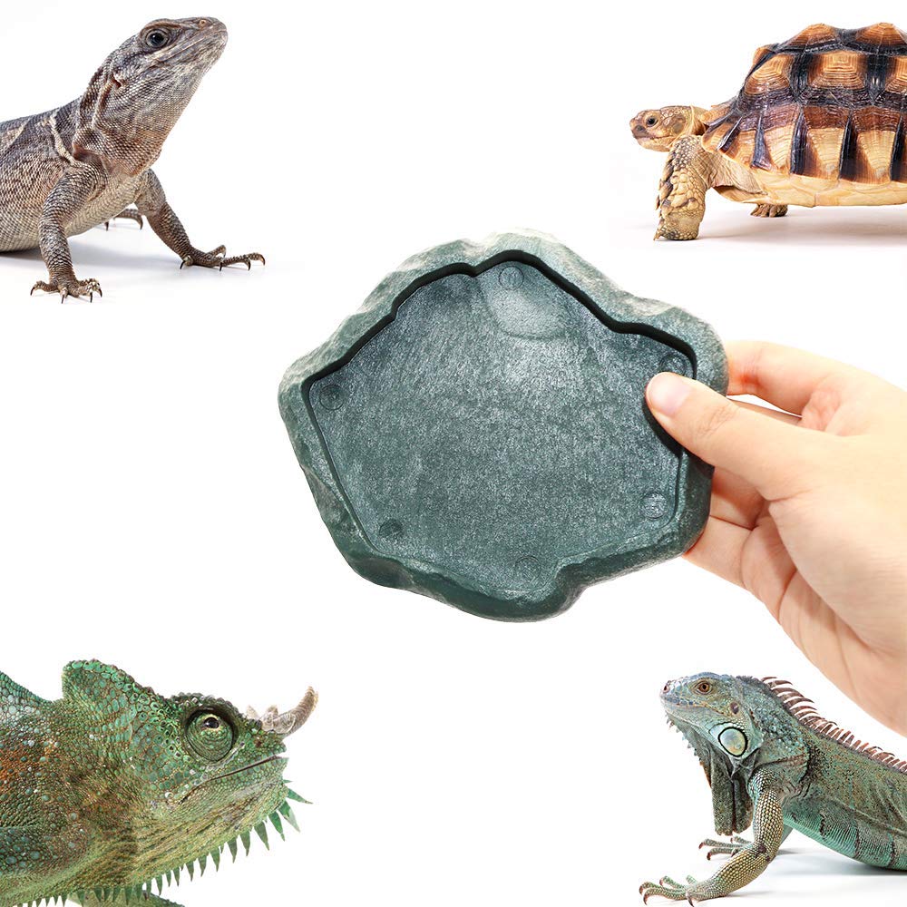 SLSON lizard gecko baby bearded dragon feeding bowl in terrarium