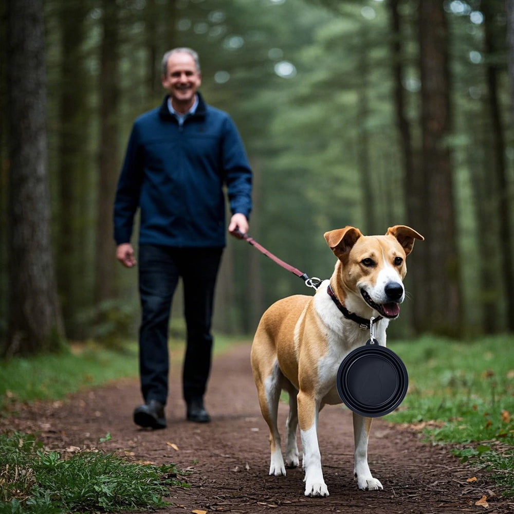 SLSON medium-size collapsible bowl dimensions fit pets for travel.