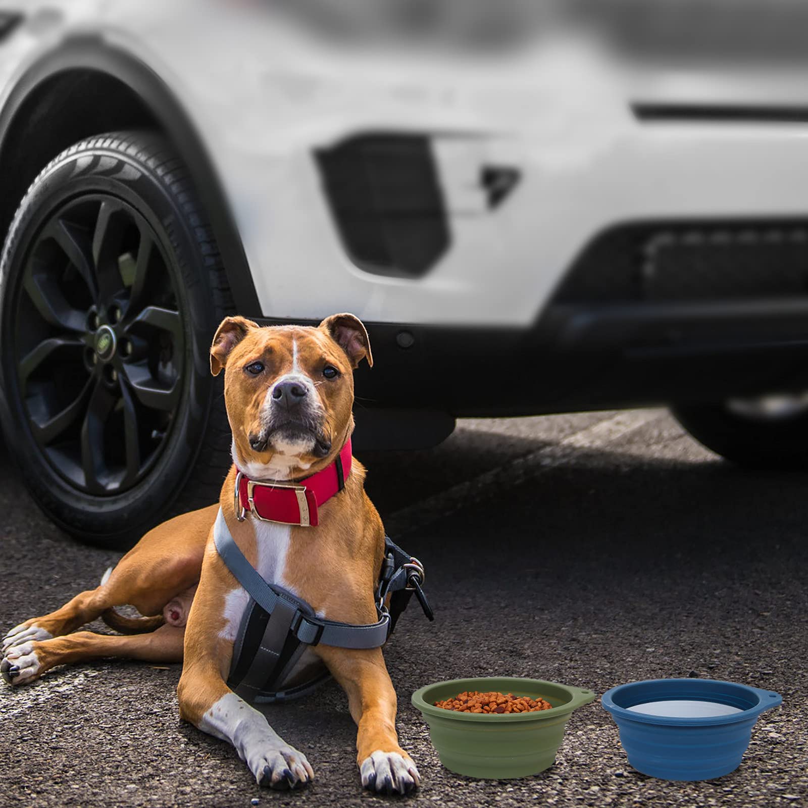 SLSON no plastic rim design highlights easy cleaning and safer dining