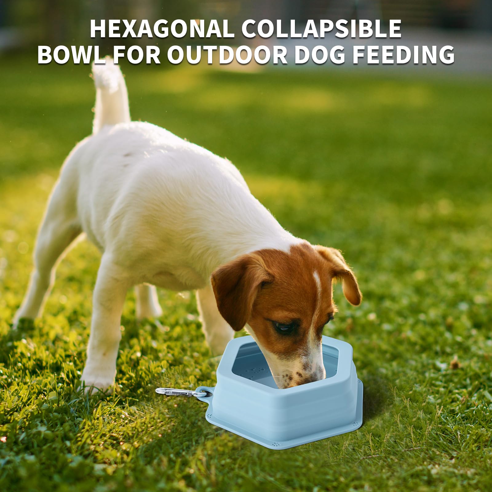 SLSON No Splash Bowl easy-clean design ideal for cars and boats.