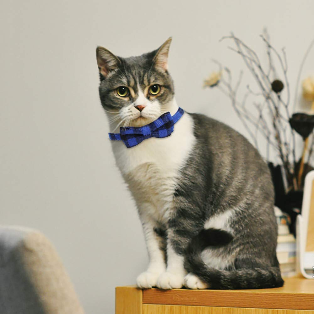SLSON outdoor-friendly plaid cat collar on a small dog during garden walk