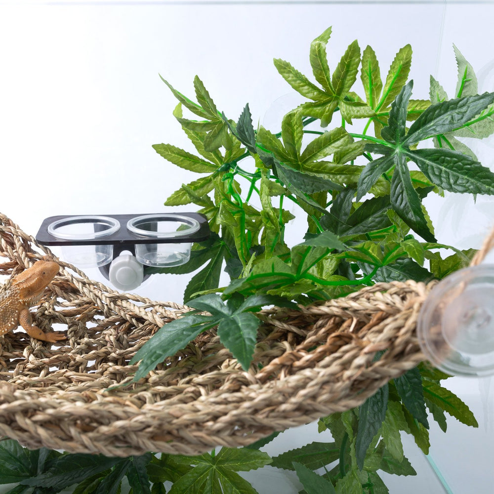 SLSON reptile plants easy-install-suction supports quick, mess-free terrarium decorating