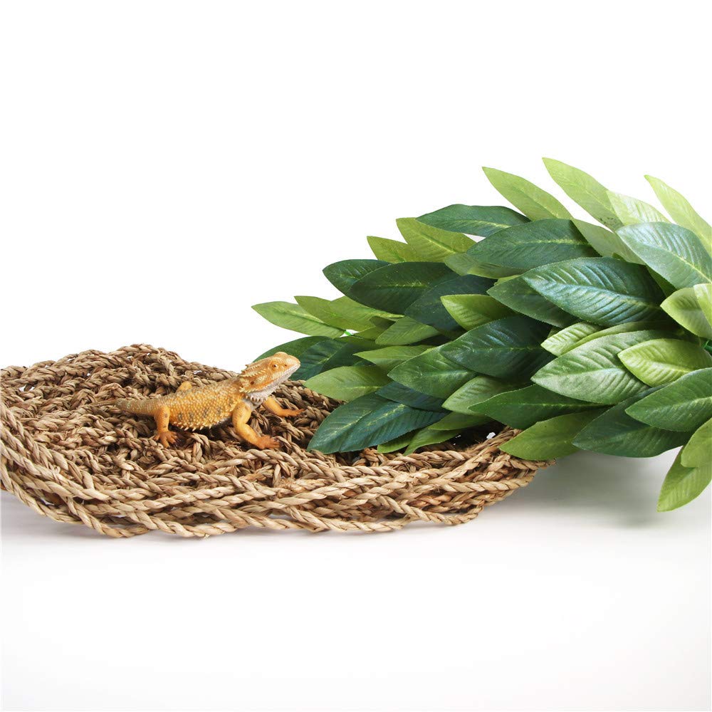 SLSON 12-inch plant staying vibrant with simple warm-water cleaning.
