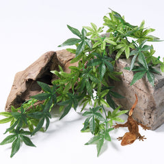 SLSON reptile plants suction-cup-attachment secures decor to tank glass for easy setup