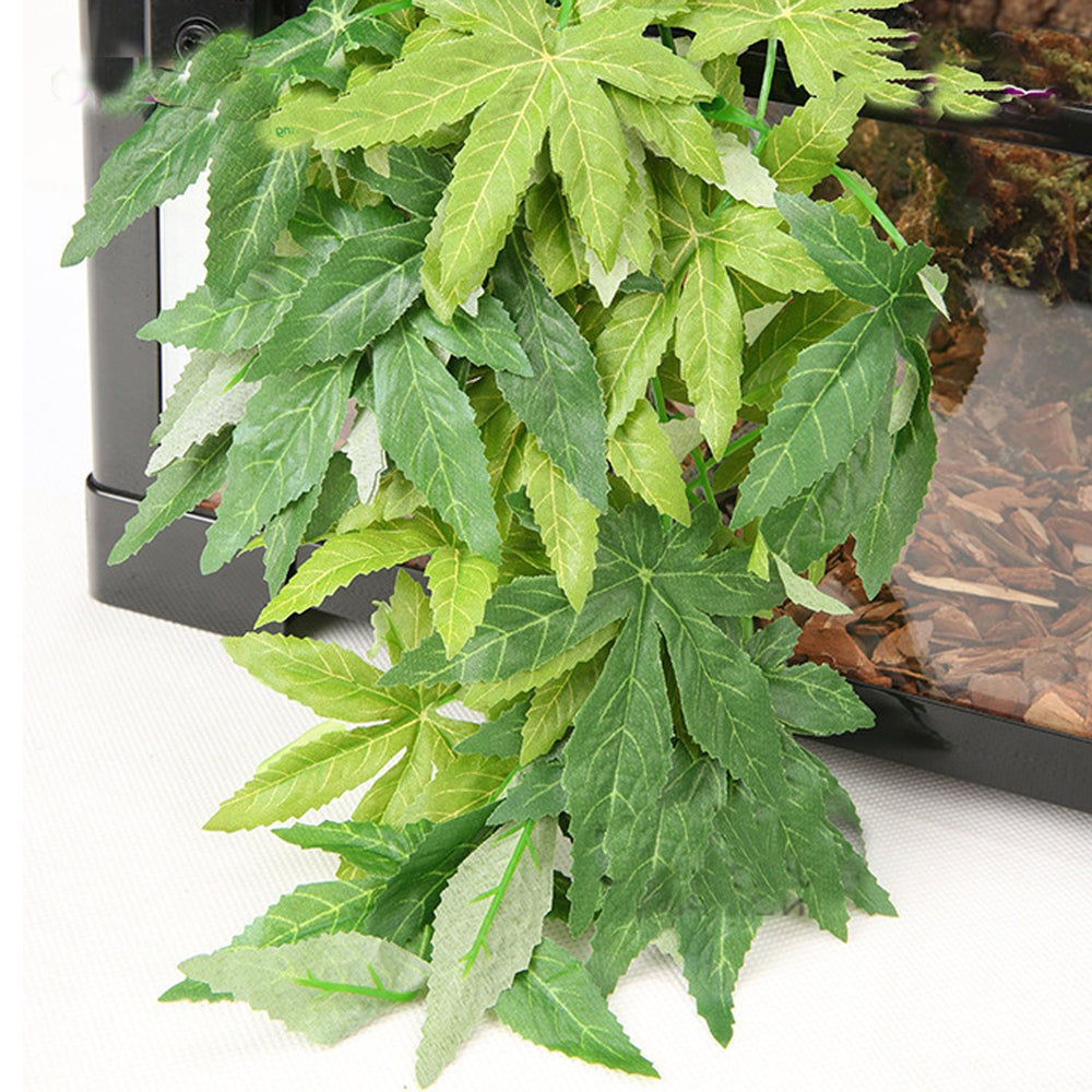 SLSON reptile plants wash-care-tips keep terrariums clean with warm-water rinses