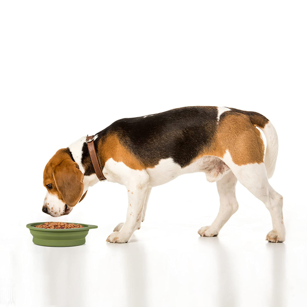 SLSON two pack dog bowls color combination navy and green for travel