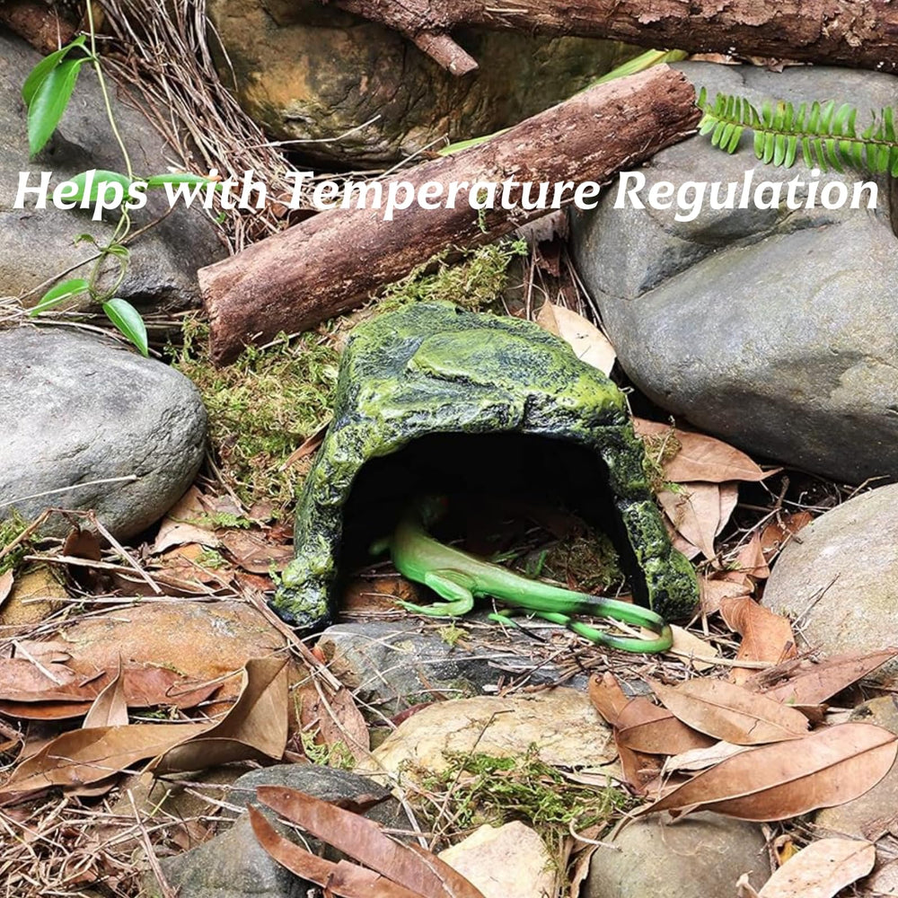 SLWHYZL gecko hiding in hideout, private retreat for exploration.