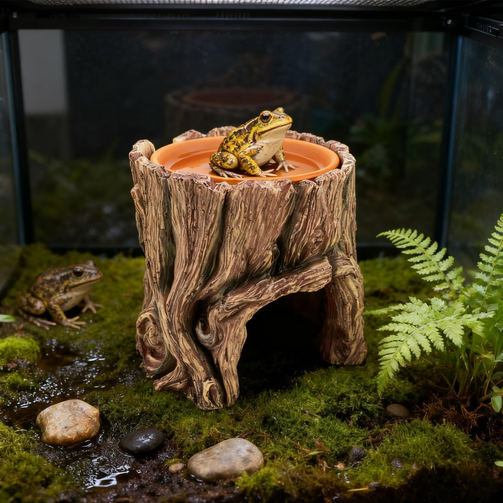 SLWHYZL reptile hide climbing-hiding setup invites exploration and enrichment.