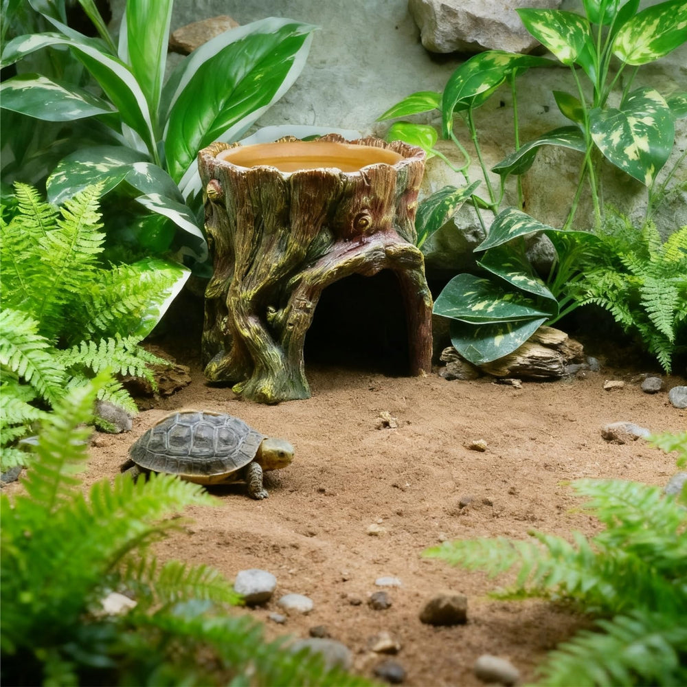 SLWHYZL reptile hide easy-clean removal demonstrates quick bowl cleaning and habitat hygiene.