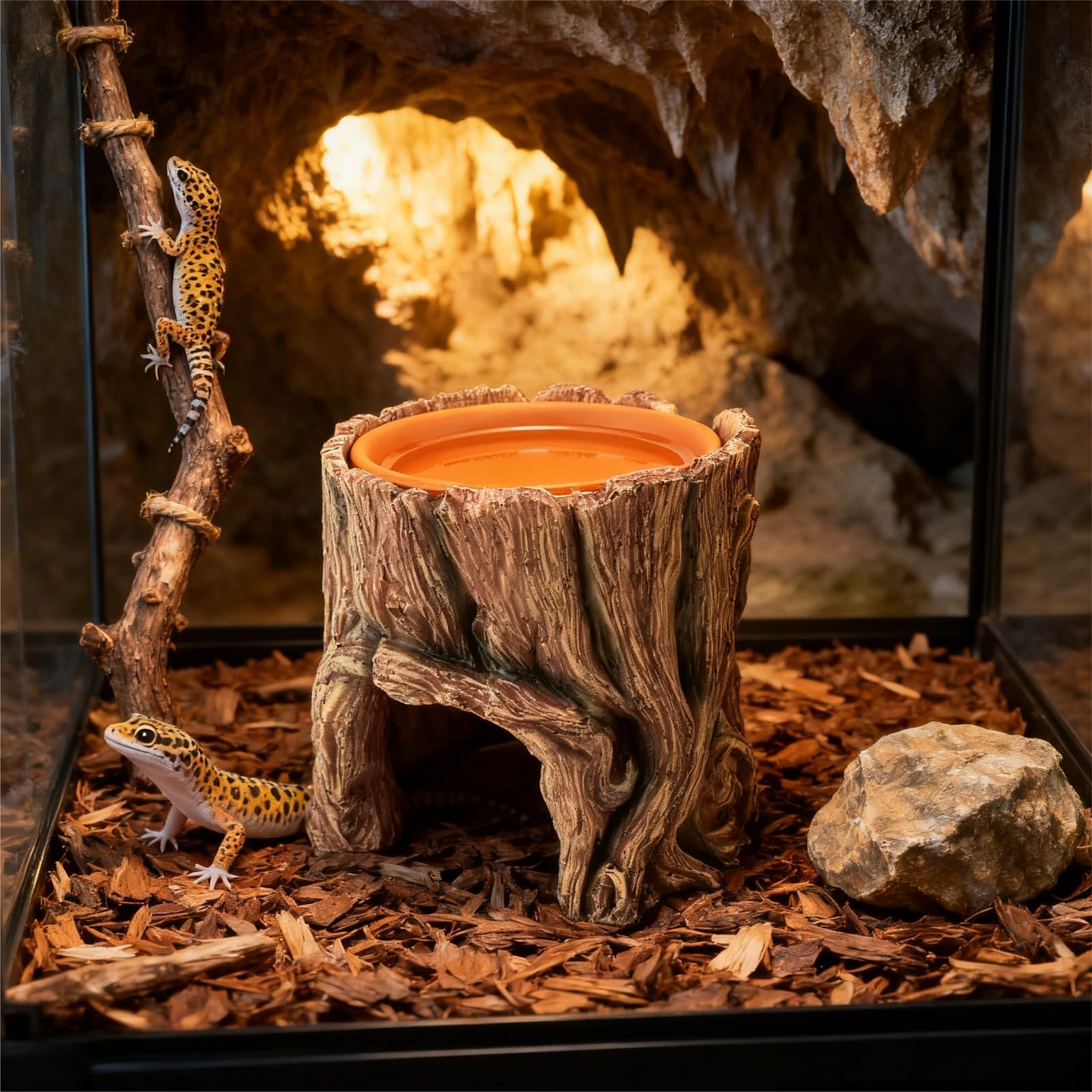 SLWHYZL reptile hide humidity-bowl demonstrates integrated humidity support for shedding-friendly habitat.