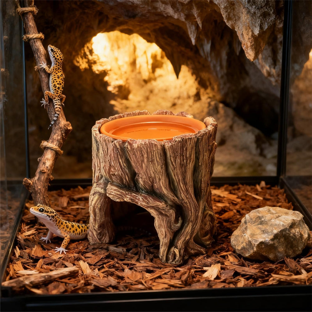 SLWHYZL reptile hide humidity-bowl demonstrates integrated humidity support for shedding-friendly habitat.