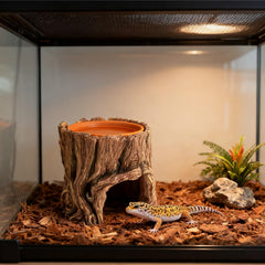SLWHYZL reptile hide thermoregulation area enables natural temperature choice for activity.