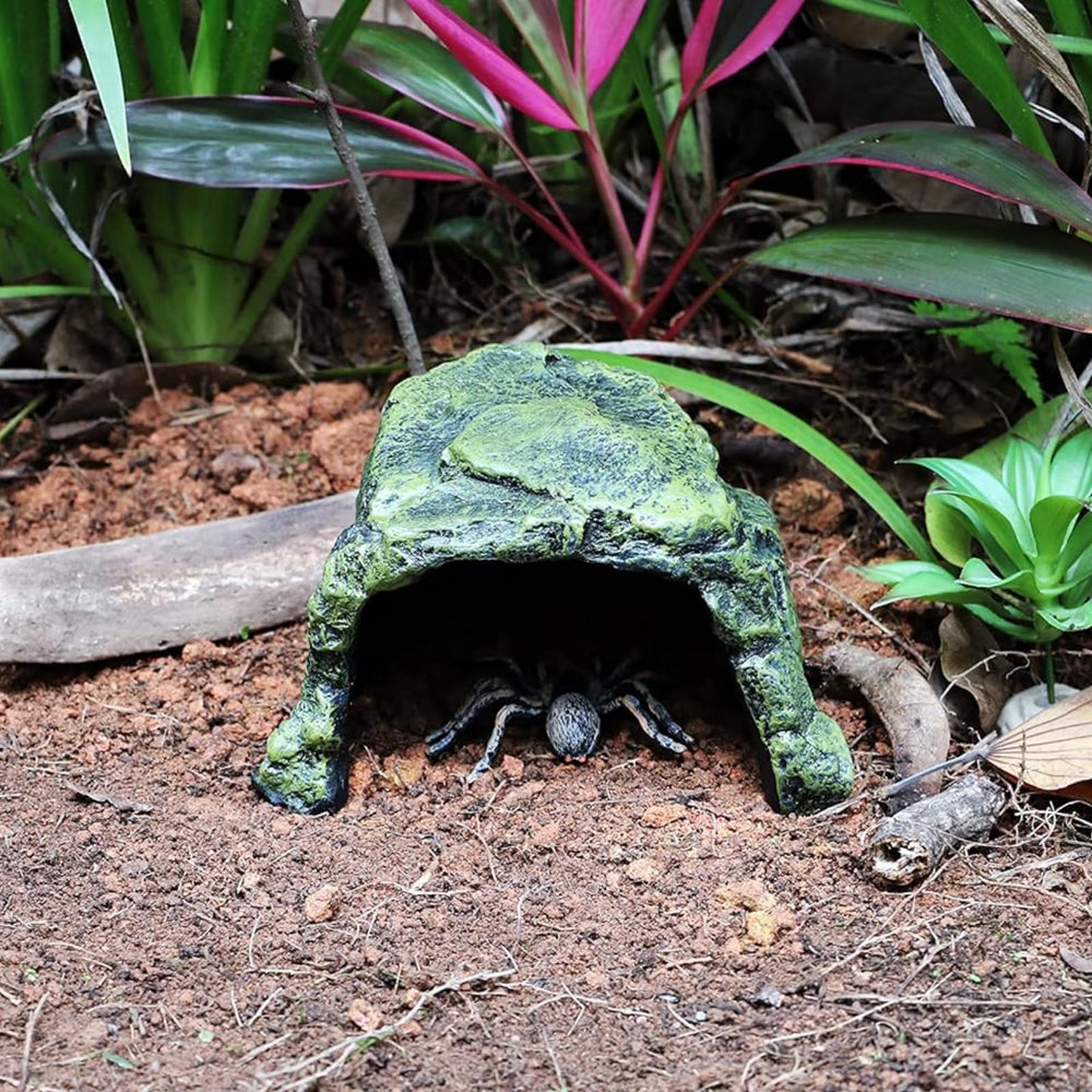 SLWHYZL reptile hideout aquarium scene, adds natural ambiance.