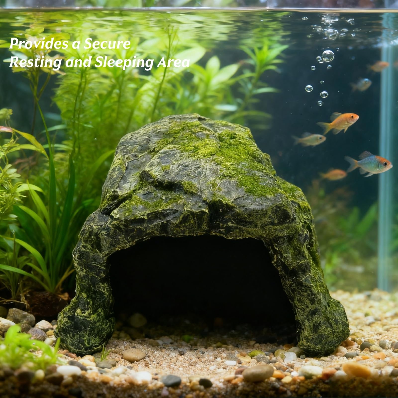 SLWHYZL reptile hideout front open, easy access for thermoregulation.