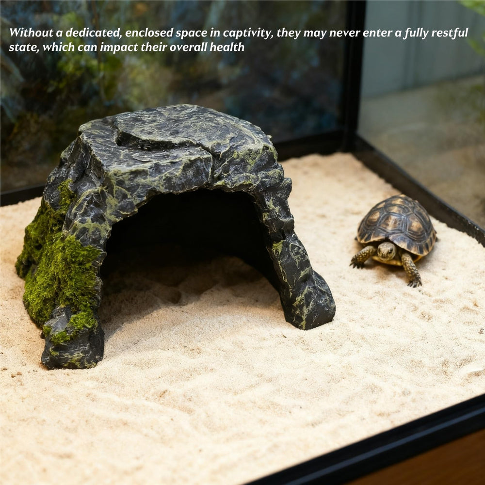 SLWHYZL snakes terrarium hideout, helps establish personal space.