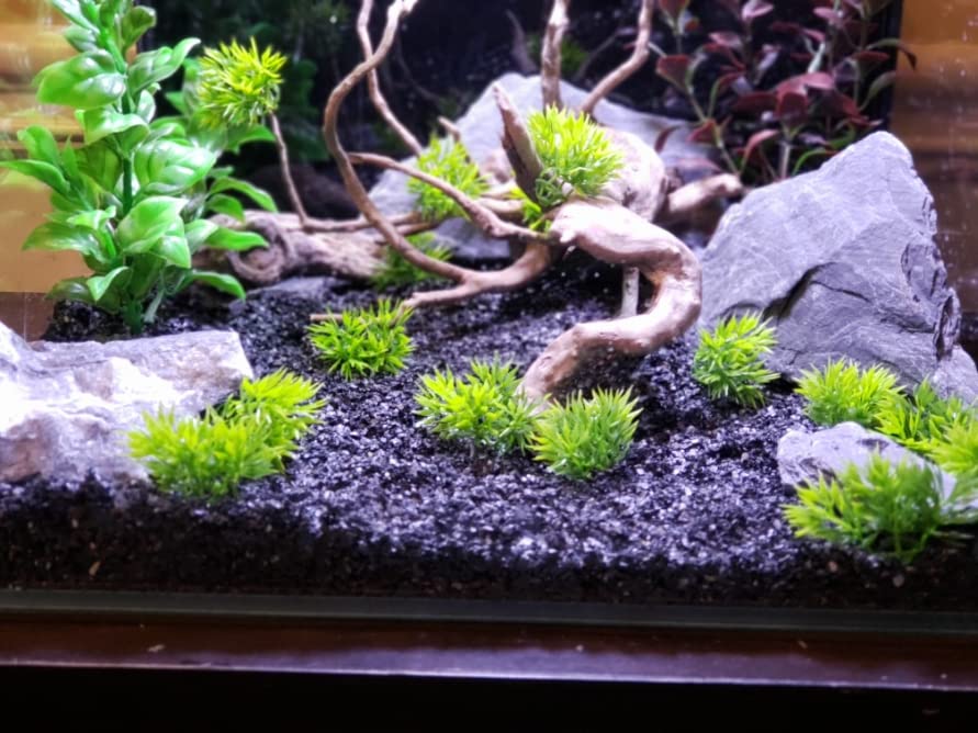 Small World Slate paludarium-detail demonstrates texture and natural contrasts in a habitat.