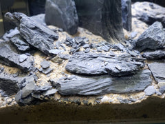 Small World Slate silvery-luster emphasizes the mica sheen for striking focal points.