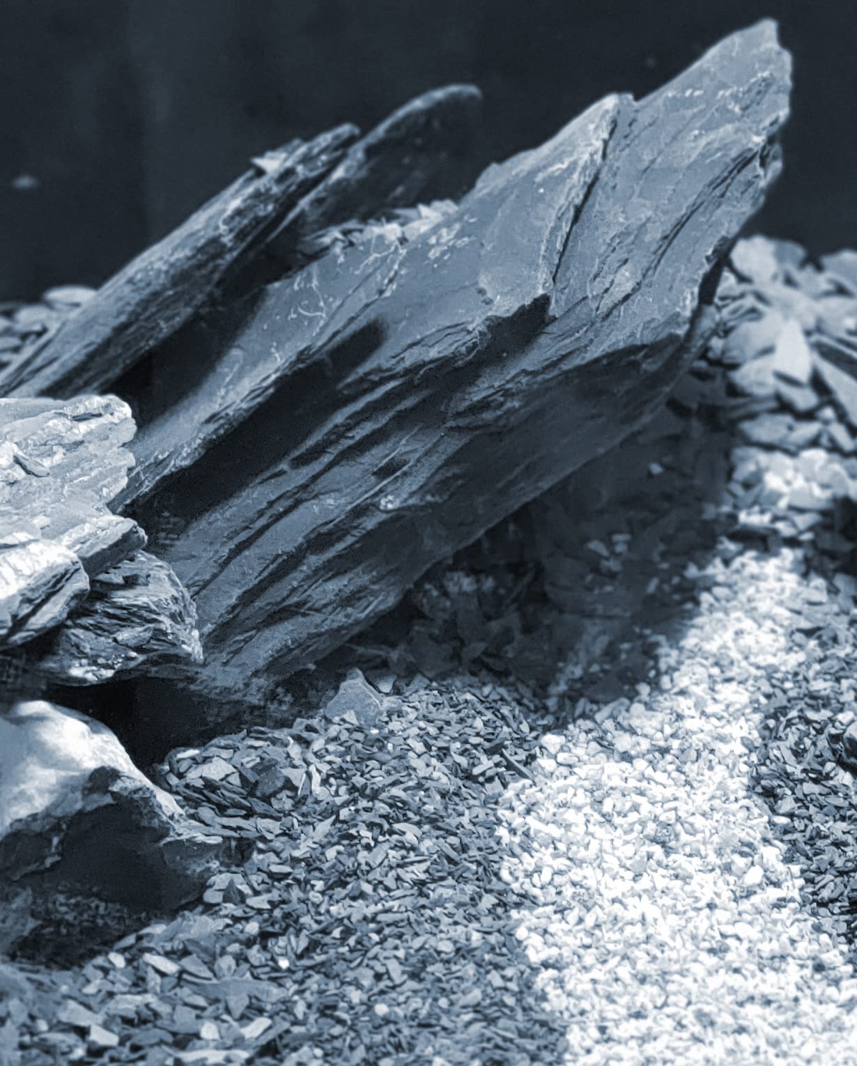 Small World Slate packaged-usa highlights USA-sourced stones ready for safe habitats.