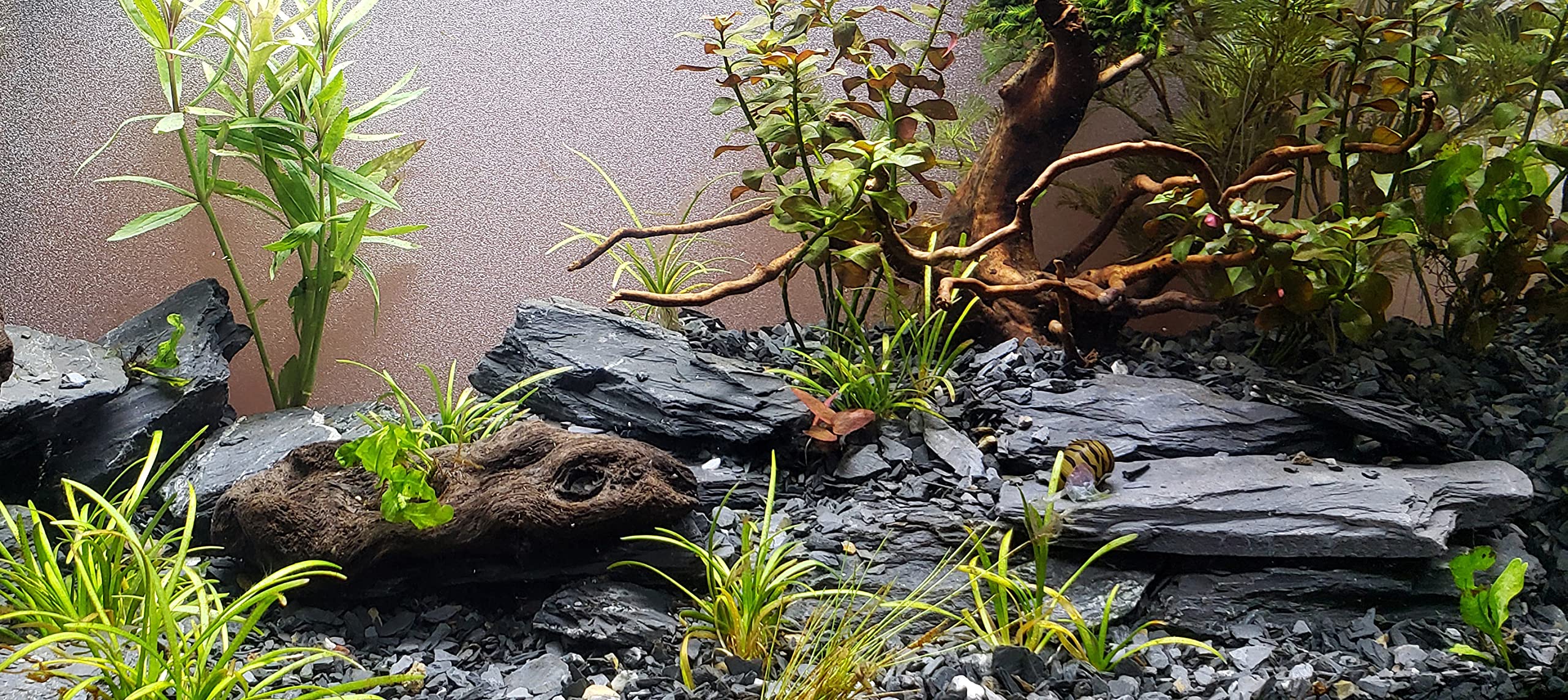 Small World Slate wall-cliff-scene captures dramatic vertical landscapes in terrariums.