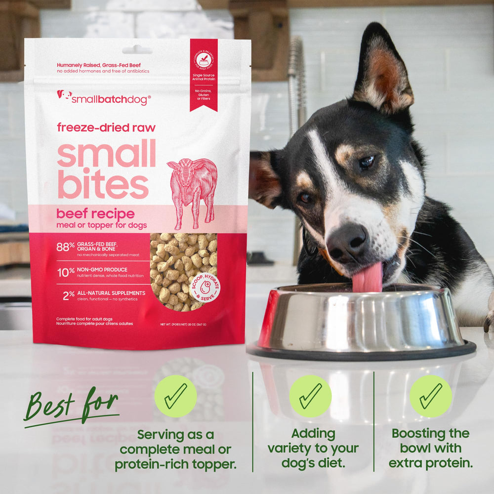Smallbatch beef dog food ingredients closeup highlighting organ meats and organ-based nutrition