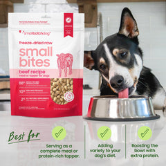 Smallbatch beef dog food ingredients closeup highlighting organ meats and organ-based nutrition