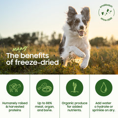 smallbatch cordero alto proteína, apoyo a la musculatura canina