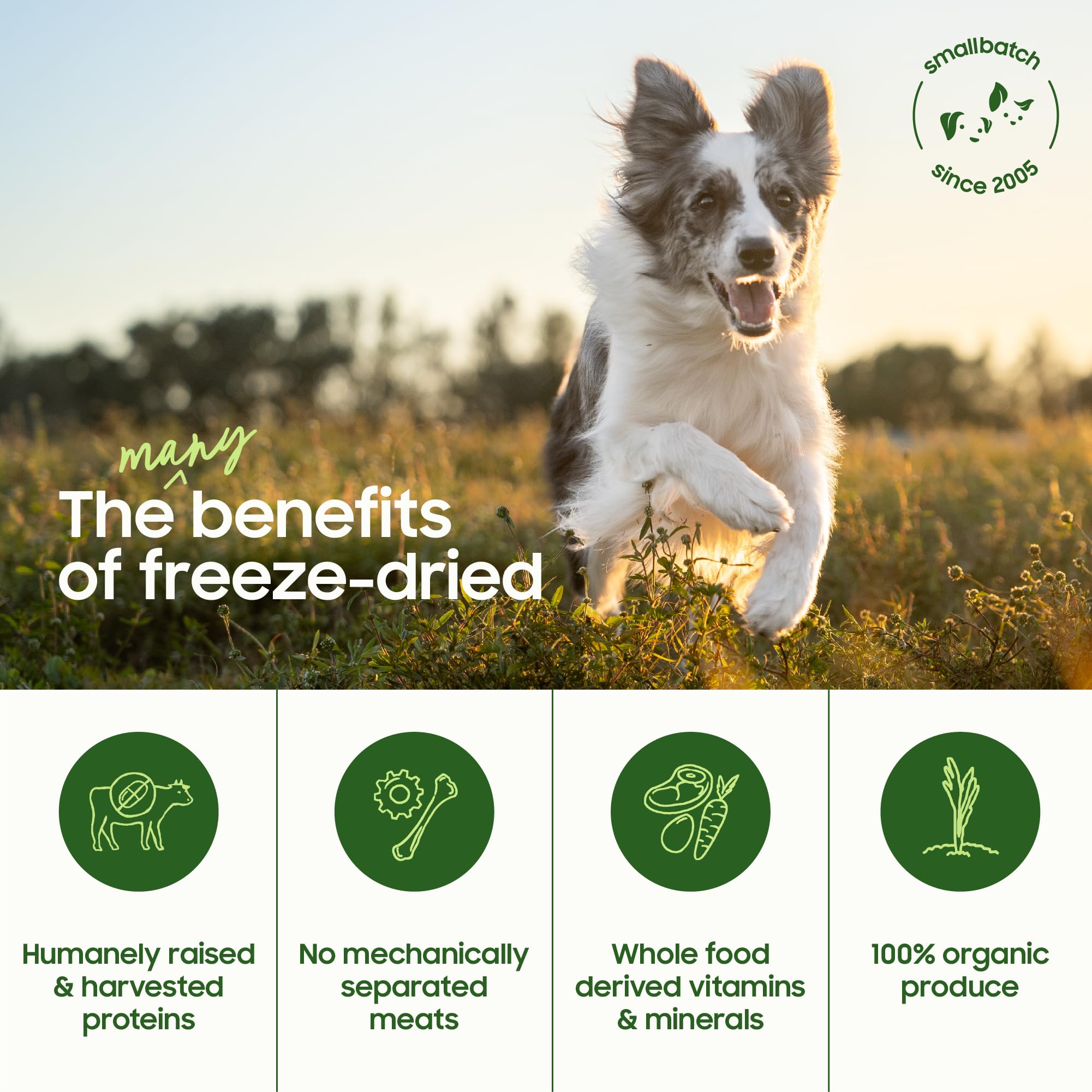 Smallbatch freeze-dried pork liver treats dog-cat snack highlights versatile pet compatibility.