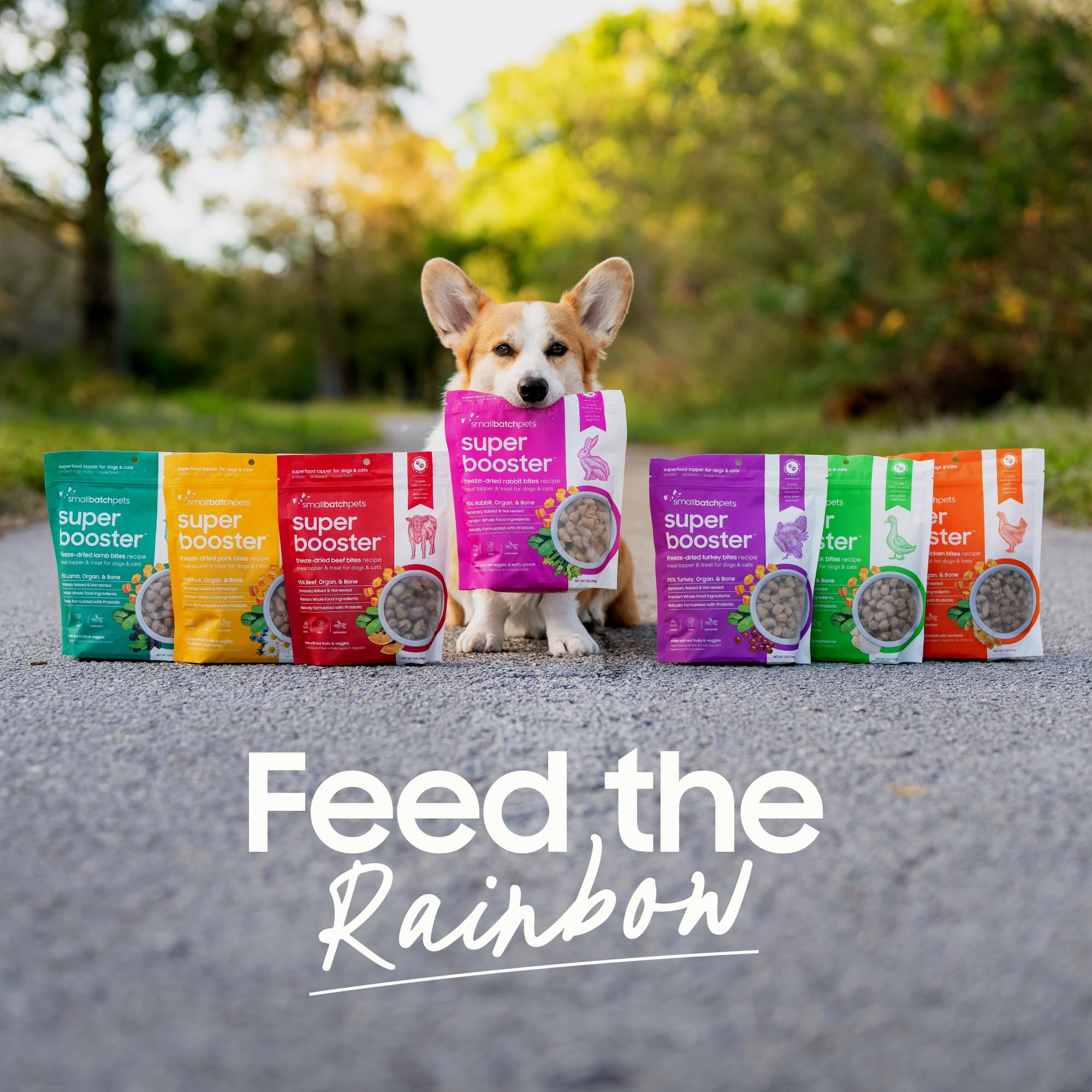 smallbatch Freeze Dried Beef Bites 7-oz bag for convenient feeding at home.