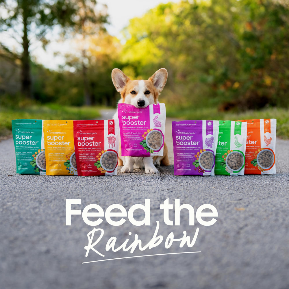 smallbatch Freeze Dried Beef Bites 7-oz bag for convenient feeding at home.