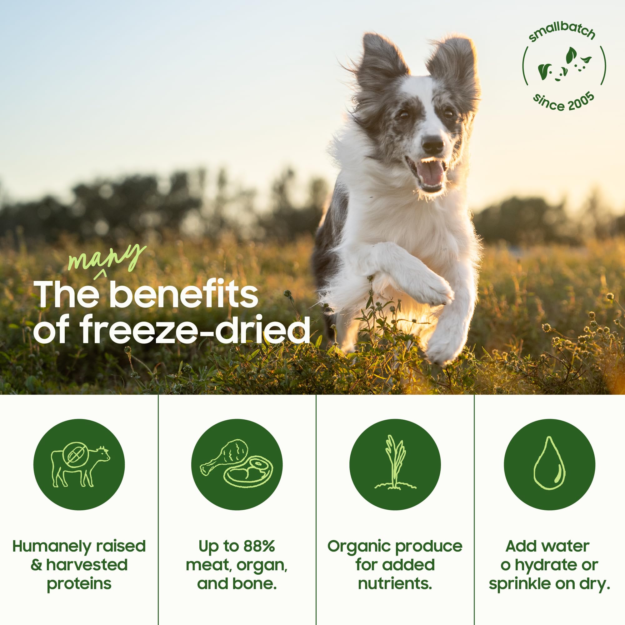 Smallbatch freeze-dried beef dog food topper crumble shown for versatile meal topping