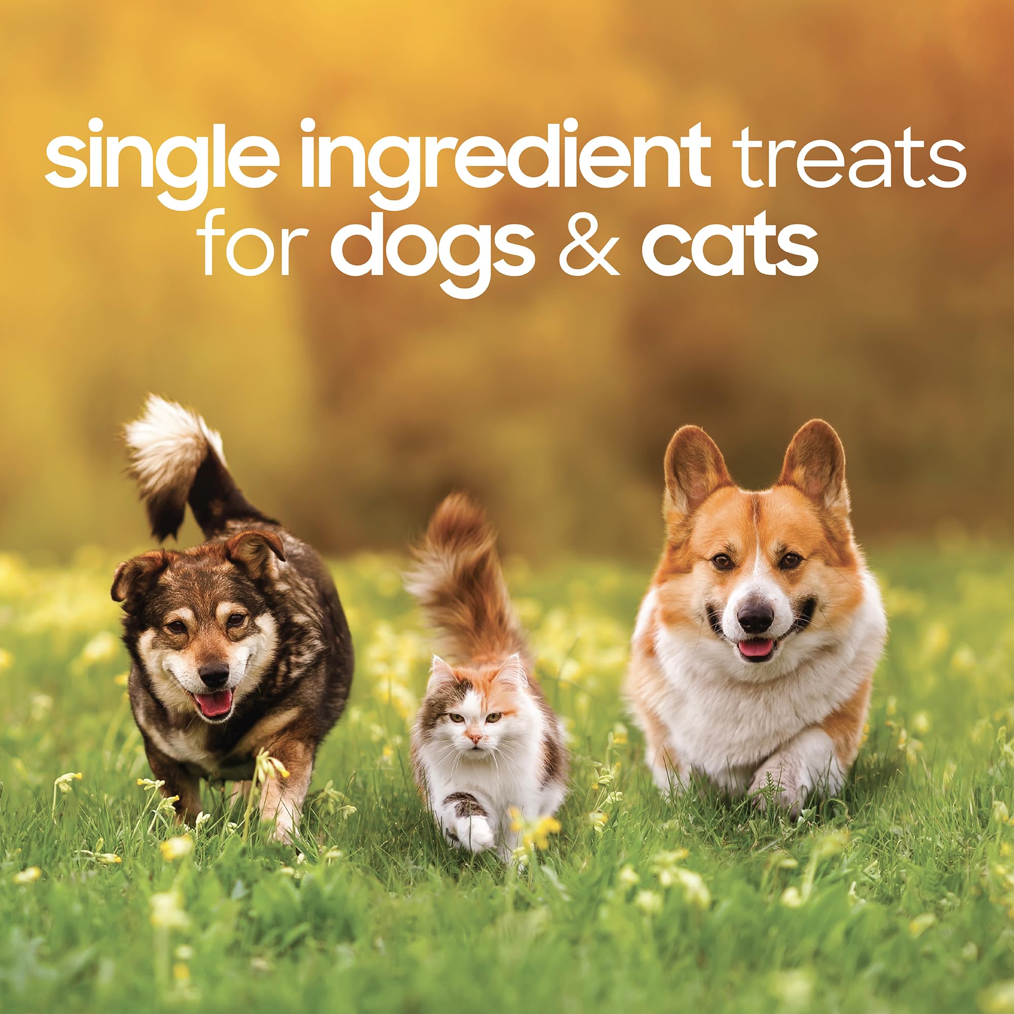 smallbatch Freeze Dried Dog Treats plated snack suitable for dogs and cats