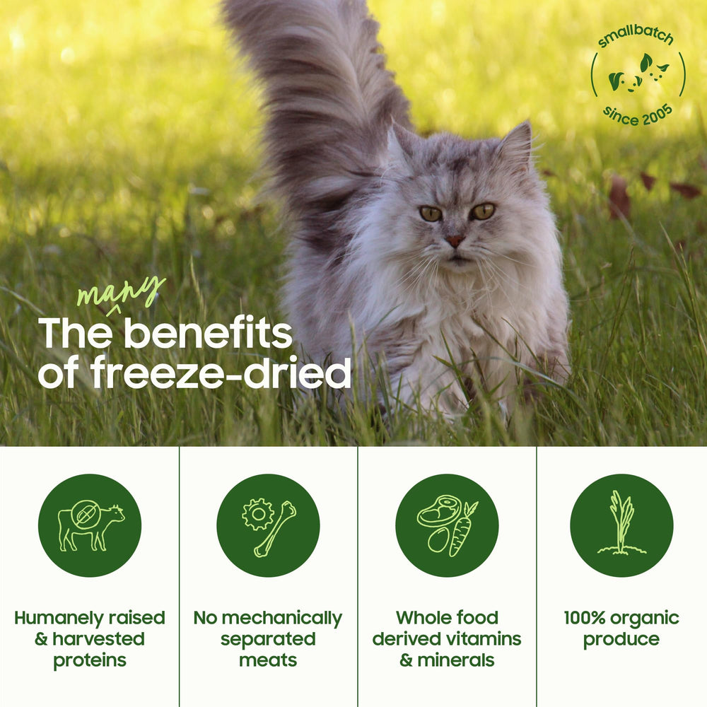 Smallbatch cat food topper serving suggestion in a bowl for enhanced texture