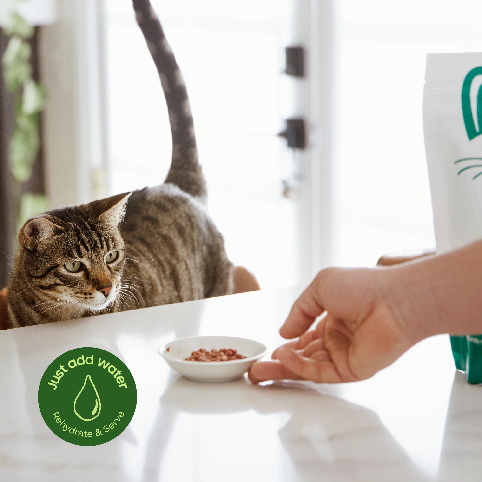 Organic produce used in Smallbatch cat food for balanced meals