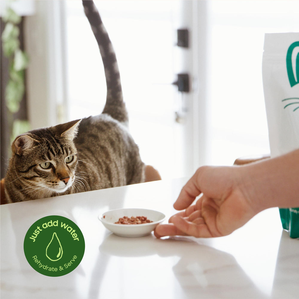 Organic produce used in Smallbatch cat food for balanced meals