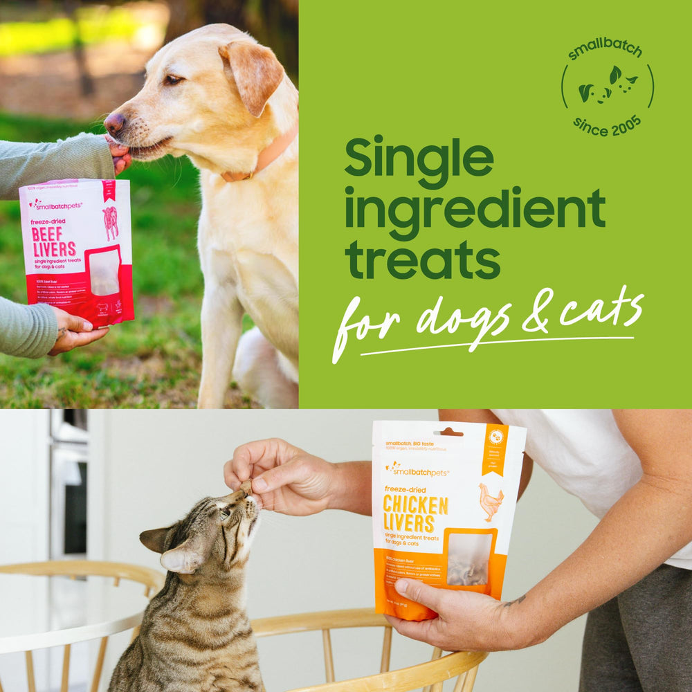 Dog and cat enjoy Smallbatch Pets heart treats as a tasty daily snack
