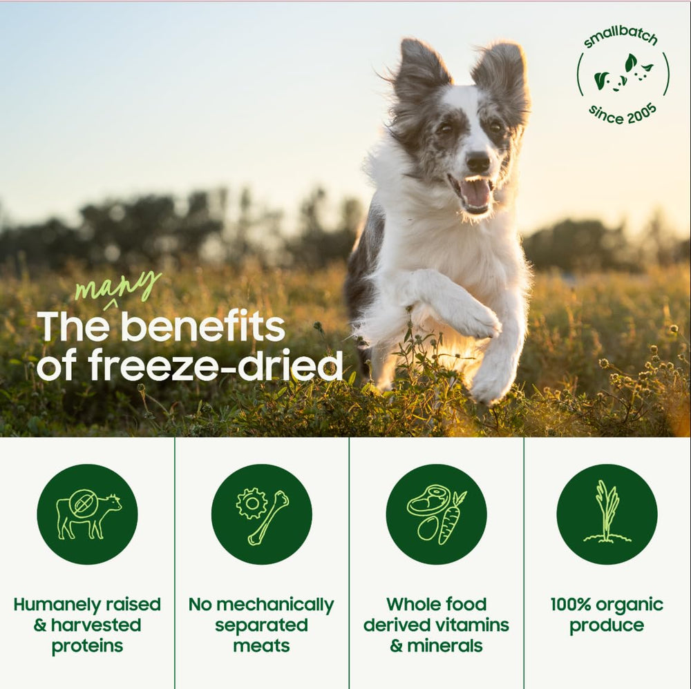 smallbatch Pets grain-free formula supports dogs with grain sensitivities and tasty ingredients
