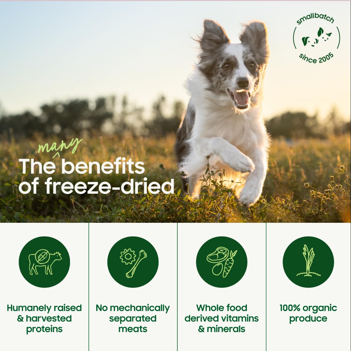 Smallbatch Pets organic, humanely raised ingredients for a trusted raw diet.