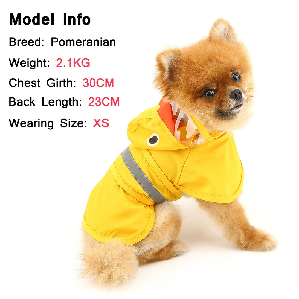 SMALLLEE_LUCKY_STORE back strap view demonstrates secure, adjustable fit for daily wear
