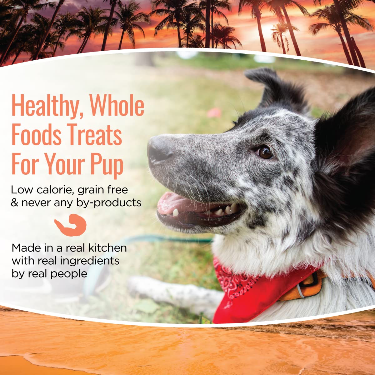 Smart Cookie 5oz Bag showcases portable dog treat size