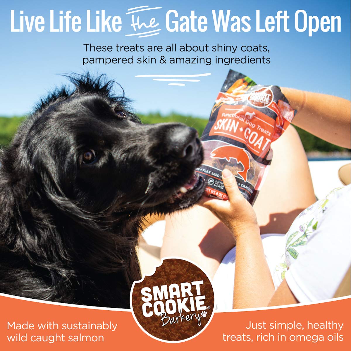 Smart Cookie limited-ingredients close-up highlighting simple, digestible formula.