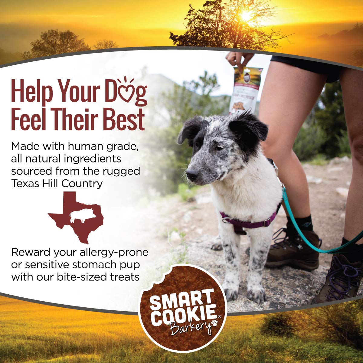 Smart Cookie training treats with Texas-sourced ingredients support wholesome rewards