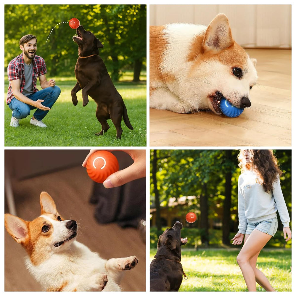 Smart Jumping Ball for Dogs blue all-breed suitability supports active dogs.