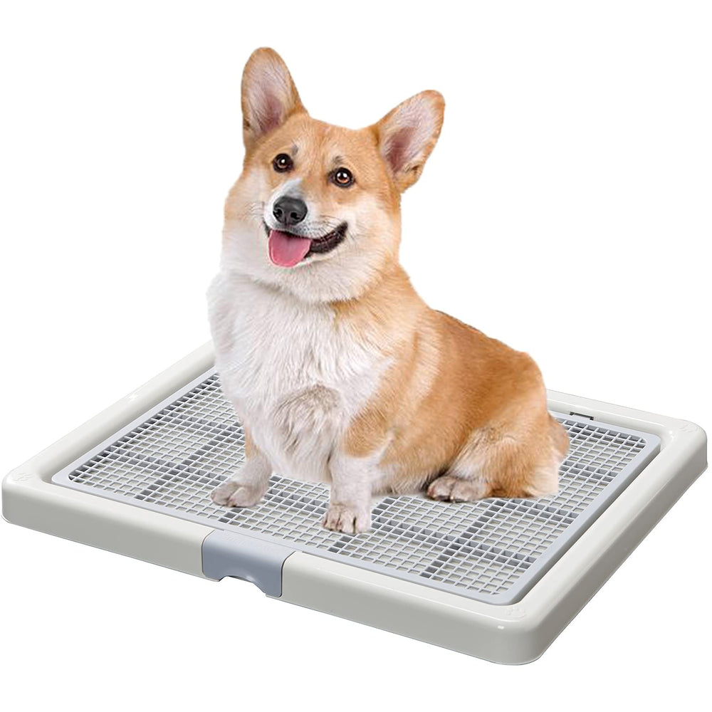 Smart Paws corgi potty toilet front view shows compact design for easy placement