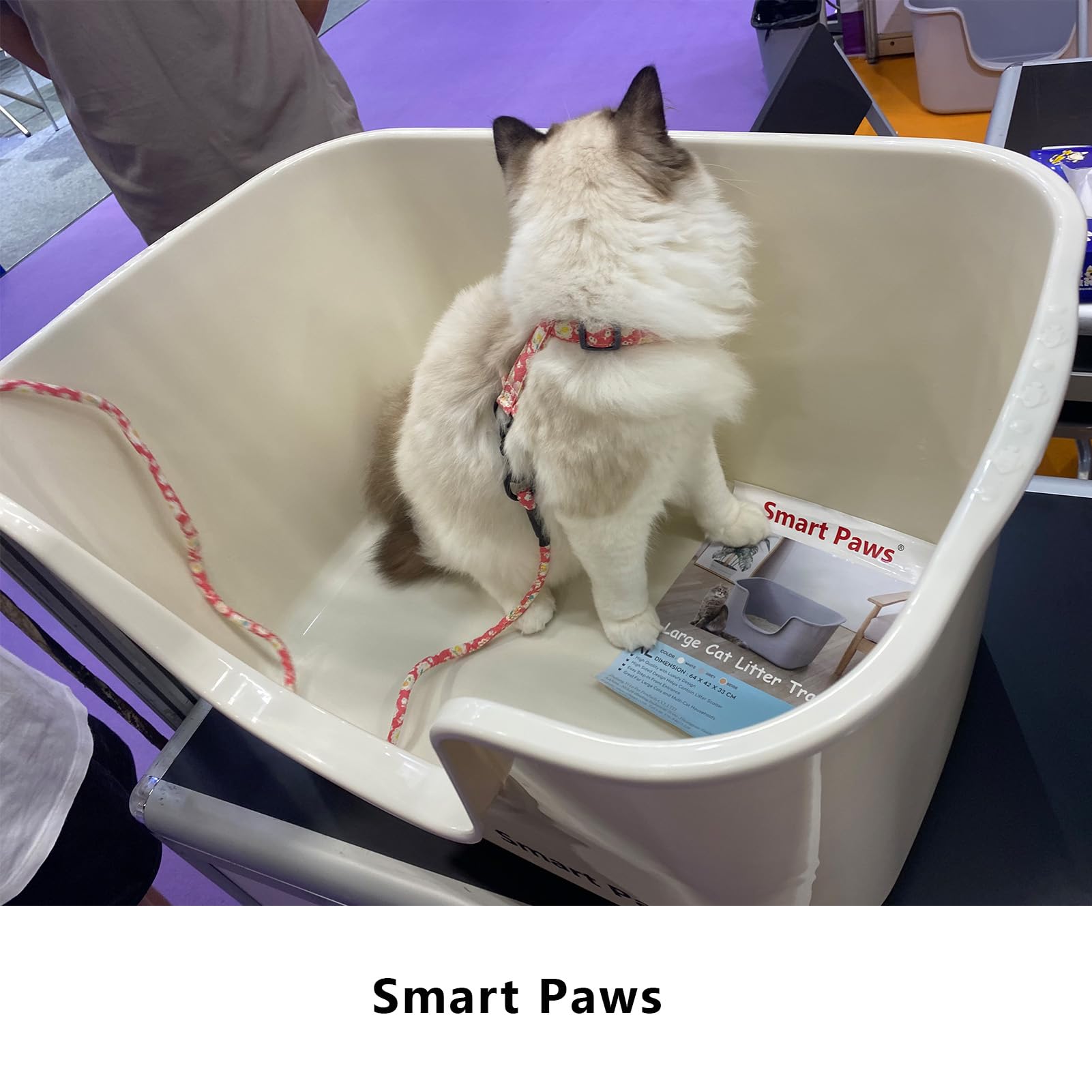Smart Paws ideal for multi-cat households with Maine Coons.